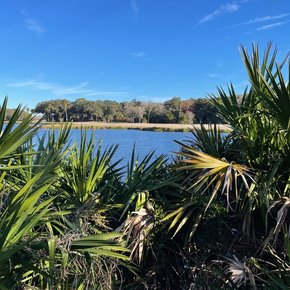 Meet your Posher, Chelsea - Picture 1 of 1